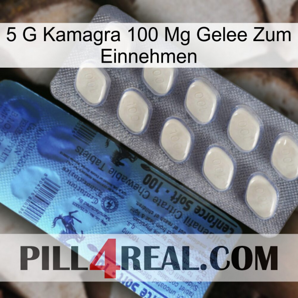 5Gm Kamagra 100Mg Oral Jelly 34